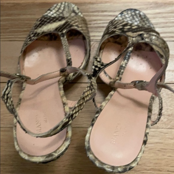 Bianca Buccheri Python T-strap Sandals - Picture 5 of 8